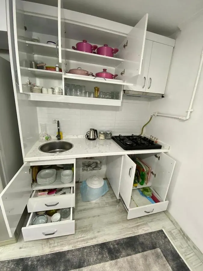 公寓 Tarihi Mekanda Sirin Home 伊斯坦布尔