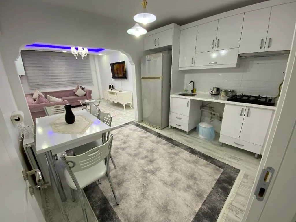 公寓 Tarihi Mekanda Sirin Home 伊斯坦布尔